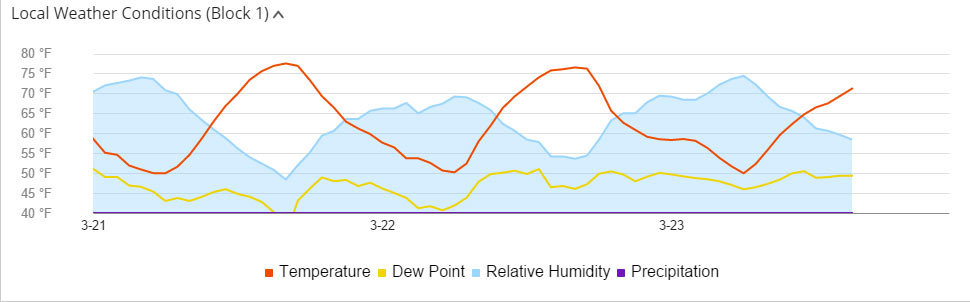 local weather